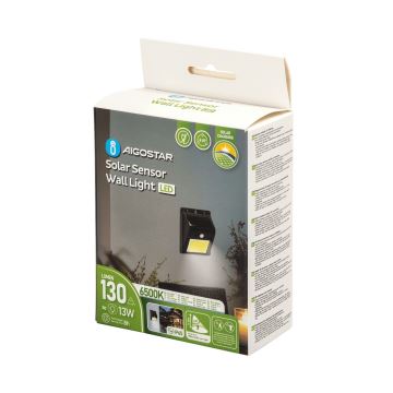 Aigostar - Applique murale solaire avec détecteur LED/13W/5,5V 6500K IP65