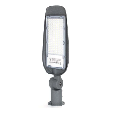 Aigostar - LED Straatlantaarn LED/100W/230V 6500K IP65