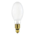 Ampoule LED E27/20W/230V 4000K