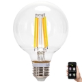 Ampoule LED FILAMENT G95 E27/6W/230V 2700-6500K - Aigostar