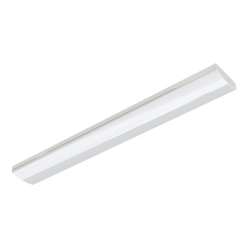 APLED - Lampe fluorescente LED EeL LED/31W/230V 4112lm