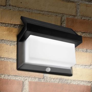 Applique murale solaire avec détecteur TONY LED/3,7V IP44