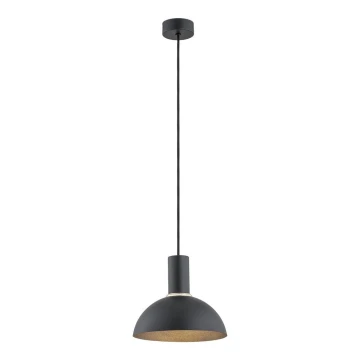 Argon 4222 - Hanglamp aan een koord SINES 1xE27/15W/230V d. 28 cm zwart