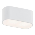 Argon 4373 - Witte Plafondlamp TONI 1x E27 / 15W / 230V