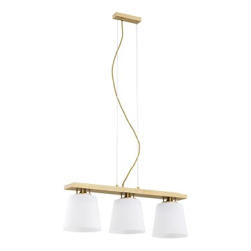 Argon 6250 - Hanglamp aan een koord ARDEN 3xE27/15W/230V goud