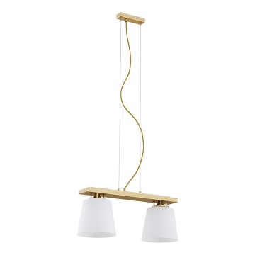 Argon 7151 - Hanglamp aan een koord ARDEN 2xE27/15W/230V goud