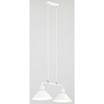 Argon 766 - Hanglamp DŻERBA 2xE27/60W/230V