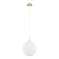 Argon 8507 - Hanglamp aan een koord PALOMA 1xE27/15W/230V diameter 25 cm goud/wit