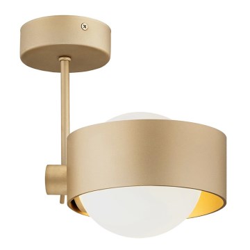 Argon 8568 - Badkamer hanglamp met vaste pendel MASSIMO PLUS 1xG9/6W/230V IP44 goud