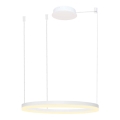 Azzardo AZ4959 - Dimbare LED hanglamp aan een koord HALO LED/56W/230V diameter 80 cm wit