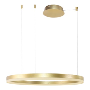 Azzardo AZ4961 -Dimbare LED hanglamp aan een koord HALO LED/56W/230V diameter 80 cm goud