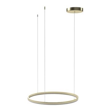 Azzardo AZ4970 -Dimbare LED hanglamp aan een koord HALO LED/46W/230V diameter 60 cm goud