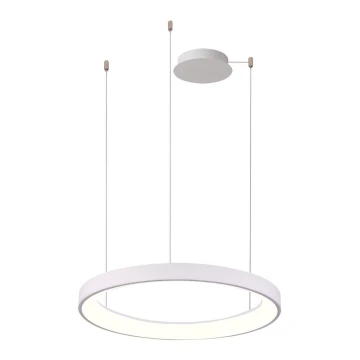 Azzardo AZ5018 - Dimbare LED hanglamp aan een koord AGNES LED/48W/230V diameter 58 cm wit