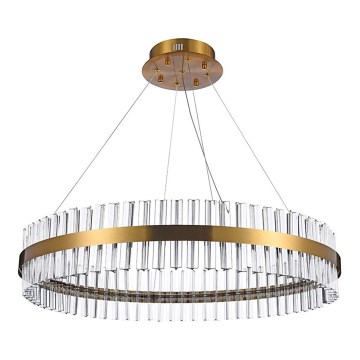 Azzardo AZ5262 - Suspension filaire LED FRANCESCA LED/50W/230V d. 80 cm