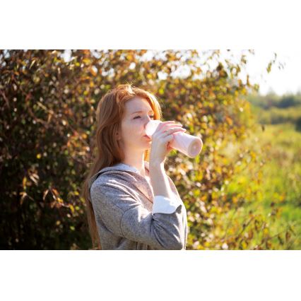 BerlingerHaus - Smoothie blender 250W/230V zwart/rosé goud