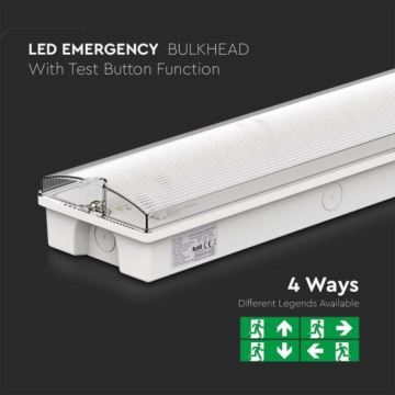 Bloc de secours LED EMERGENCY EXIT LED/3W/230V 6400K IP65