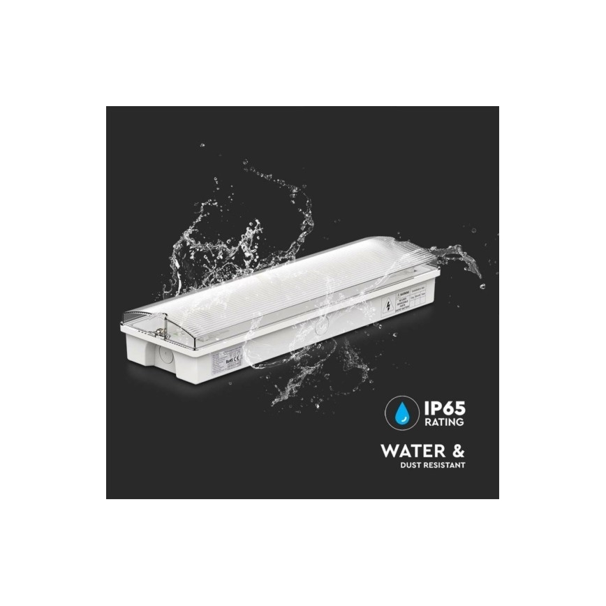 Bloc de secours LED EMERGENCY EXIT LED/3W/230V 6400K IP65