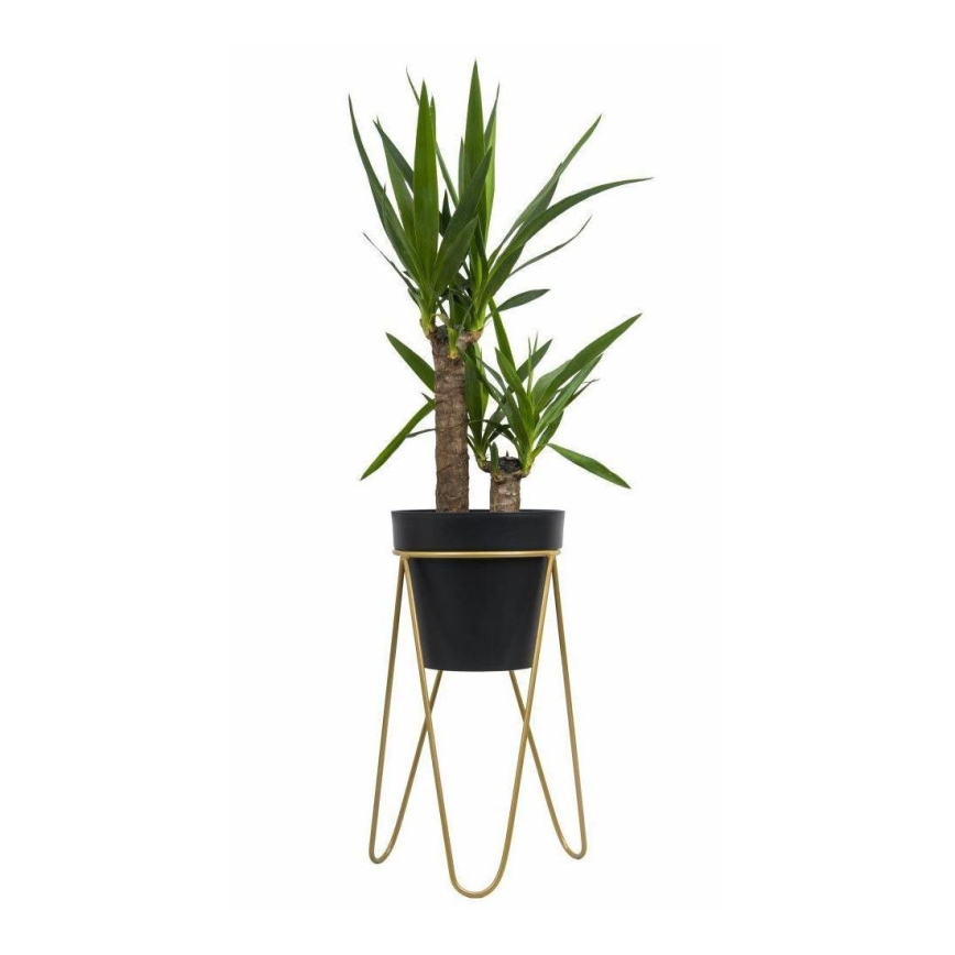 Bloemenstandaard LOFT 50x30 cm goud