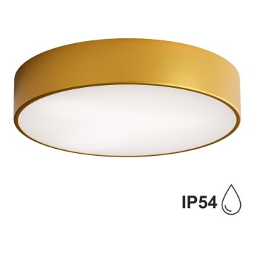 Brilagi - Badkamer plafondlamp CLARE 3xE27/24W/230V diameter 40 cm IP54 goud