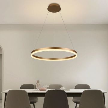 Brilagi - Dimbare LED hanglamp aan een koord CIRCLE LED/42W/230V 3000-6500K + afstandsbediening