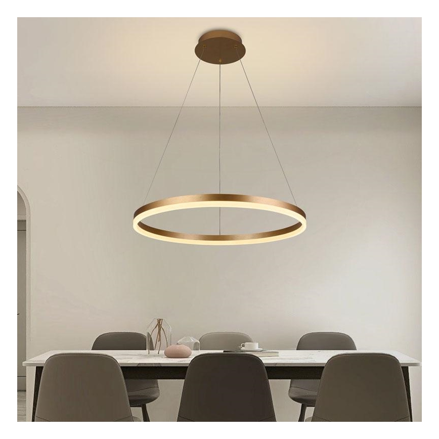 Brilagi - Dimbare LED hanglamp aan een koord CIRCLE LED/42W/230V 3000-6500K + afstandsbediening