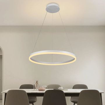 Brilagi - Dimbare LED hanglamp aan een koord CIRCLE LED/42W/230V 3000-6500K + afstandsbediening