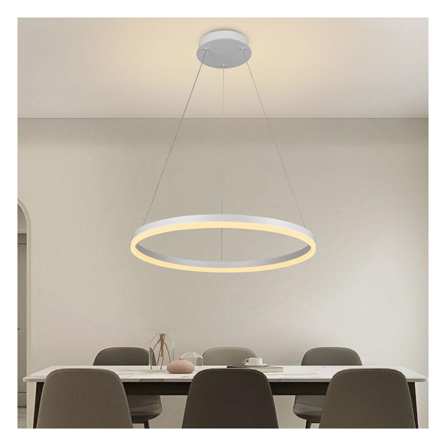 Brilagi - Dimbare LED hanglamp aan een koord CIRCLE LED/42W/230V 3000-6500K + afstandsbediening