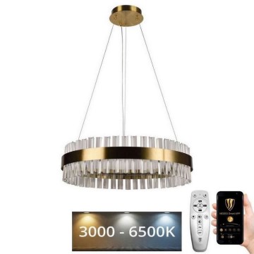 Brilagi - LED Dimbaar kristal Hanglamp aan een touw HALO LED/40W/230V + afstandsbediening