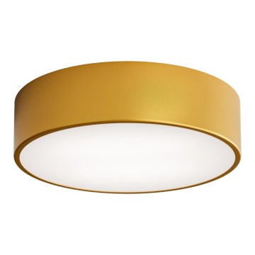 Brilagi - Plafondlamp CLARE 2xE27/24W/230V diameter 30 cm goud