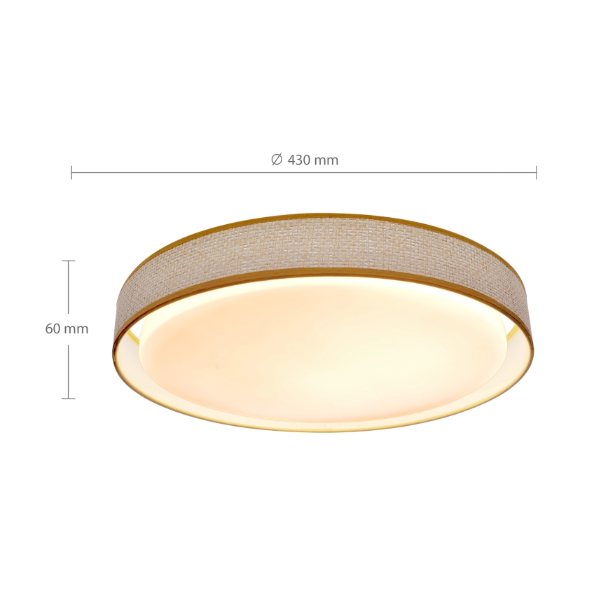 Brilagi - Plafonnier à intensité variable KIANIA LED/48W/230V 3000-6500K d. 43 cm + télécommande