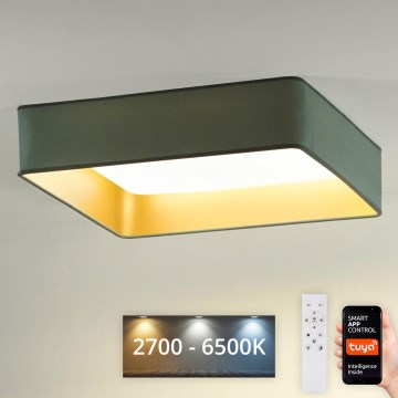 Brilagi - Plafonnier à intensité variable LED VELVET SQUARE SMART LED/36W/230V 2700-6500K Wi-Fi Tuya + télécommande menthe