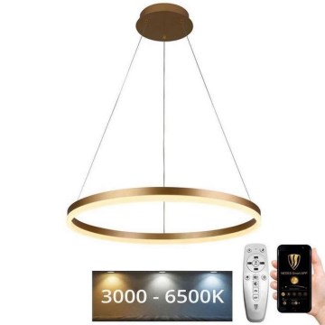 Brilagi - Suspension filaire à intensité variable CIRCLE LED/42W/230V 3000-6500K + télécommande