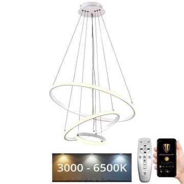 Brilagi - Suspension filaire à intensité variable CIRCLE LED/90W/230V 3000-6500K + télécommande