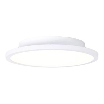 Brilliant - LED Plafondlamp BUFFI LED/13W/230V diameter 25 cm 2700K