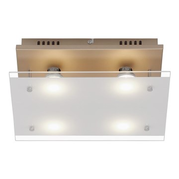 Briloner 3586-047 - Plafonnier LED SMART GOLD 4xGU10/4W/230V