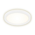 Briloner 7150-416 - plafonnier LED SLIM LED/12W/230V d. 19 cm