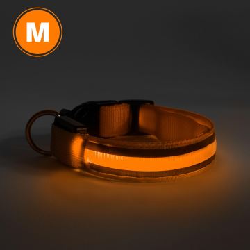 Collier LED rechargeable 40-48 cm 1xCR2032/5V/40 mAh orange