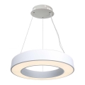 Dimbare LED hanglamp aan een koord LED/50W/230V 4000K diameter 60 cm wit