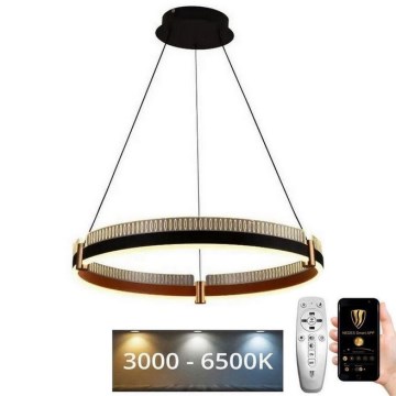 Dimbare LED hanglamp aan een koord LED/80W/230V 3000-6500K + afstandsbediening