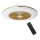 Dimbare LED Plafondlamp met Ventilator ARIA LED/38W/230V 3000-6000K goud + afstandsbediening