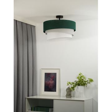 Duolla - Bevestigde hanglamp TRIO 1xE27/15W/230V groen/grijs/wit