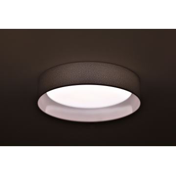 Duolla - LED Plafondlamp ROLLER LED/24W/230V lichtgrijs