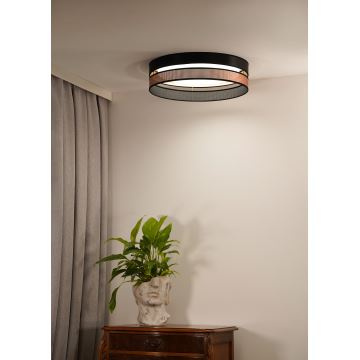 Duolla - Plafonnier ROLLER DUO SHINY LED/24W/230V noir/cuivre