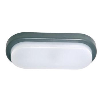 Ecolite BL18W-SED - LED Wandlamp voor buiten OVAL LED/18W/230V IP54
