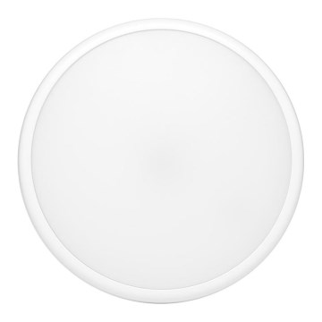 Ecolite WHST707-LED/HF - Plafonnier extérieur LED avec détecteur MOVA LED/16W/230V IP54