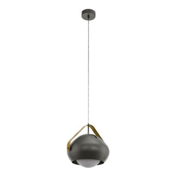 Eglo 79615 - Hanglamp aan koord 1xE27/40W/230V