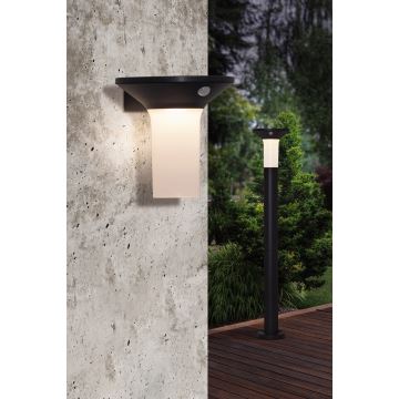 Eglo - Solar LED Lamp voor Buiten met Sensor 6xLED/0,03W/3,7V IP44