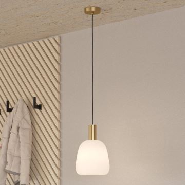 Eglo - Hanglamp aan een koord 1xE27/40W/230V