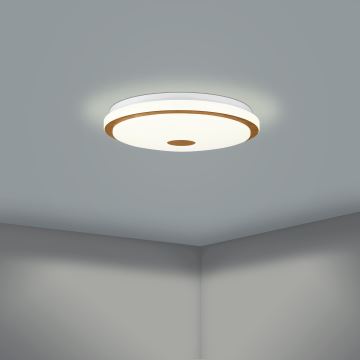 Eglo 900598 - Plafonnier à intensité variable LED/24W/230V + Télécommande