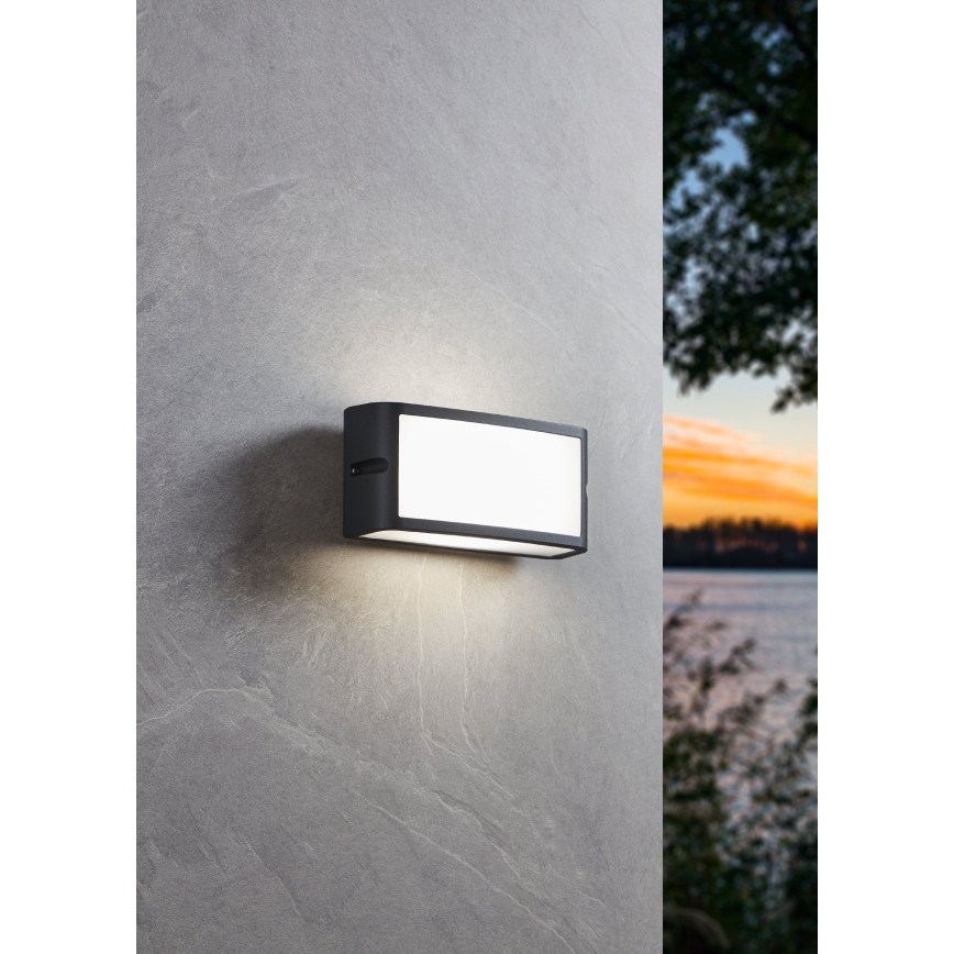 Eglo - Applique murale LED extérieure LED/10,5W/230V anthracite IP54